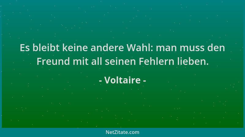 Voltaire - Es bleibt keine andere Wahl: man muss den Freund mit all seinen Fehlern lieben....