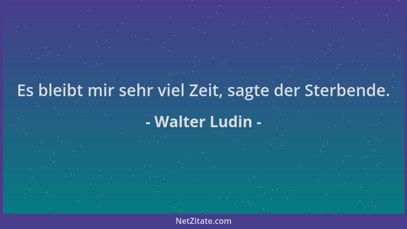 Walter Ludin - Es bleibt mir sehr viel Zeit, sagte der Sterbende....
