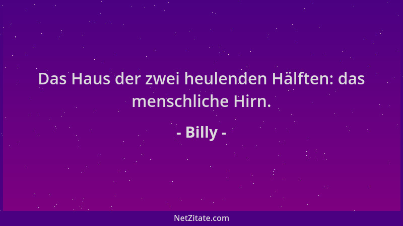 Billy - Das Haus der zwei heulenden Hälften: das menschliche Hirn....