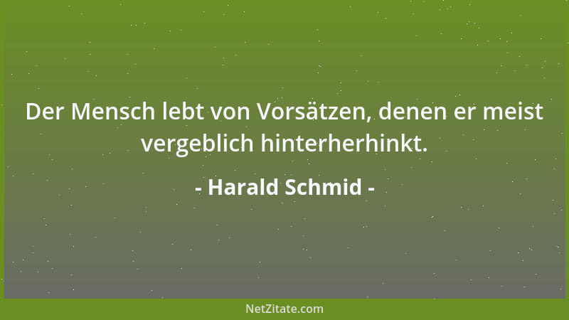 Harald Schmid - Der Mensch lebt von Vorsätzen, denen er meist vergeblich hinterherhinkt....
