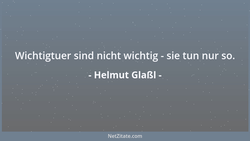 Helmut Glaßl - Wichtigtuer sind nicht wichtig - sie tun nur so....
