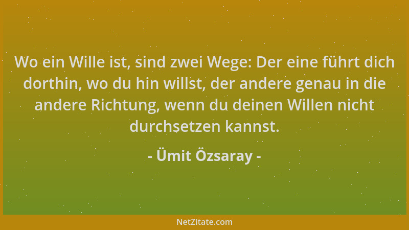 Ümit Özsaray - Wo ein Wille ist, sind zwei Wege: Der eine führt dich dorthin, wo du hin willst, der andere genau in die and...