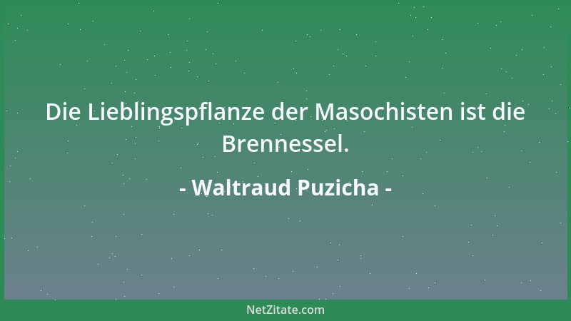 Waltraud Puzicha - Die Lieblingspflanze der Masochisten ist die Brennessel....