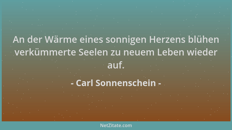 Carl Sonnenschein - An der Wärme eines sonnigen Herzens blühen verkümmerte Seelen zu neuem Leben wieder auf....