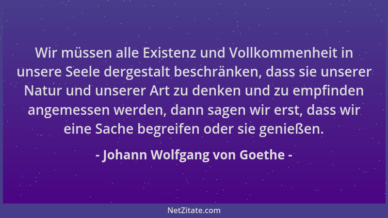 Johann Wolfgang von Goethe - Wir müssen alle Existenz und Vollkommenheit in unsere Seele dergestalt beschränken, dass sie u...