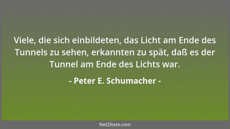 Peter E. Schumacher - Viele, die sich einbildeten, das Licht am Ende des Tunnels zu sehen, erkannten zu spät, daß es der Tu...