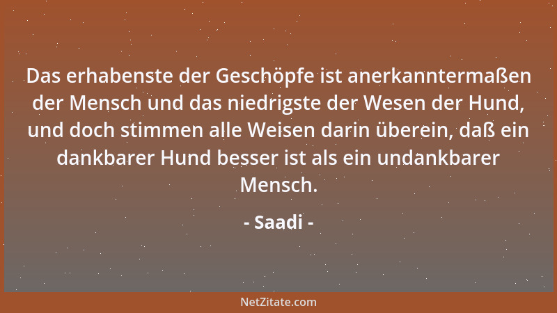 Saadi - Das erhabenste der Geschöpfe ist anerkanntermaßen der Mensch und das niedrigste der Wesen der Hund, und doch stimme...
