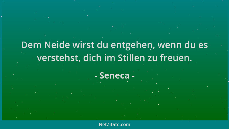 Seneca - Dem Neide wirst du entgehen, wenn du es verstehst, dich im Stillen zu freuen....