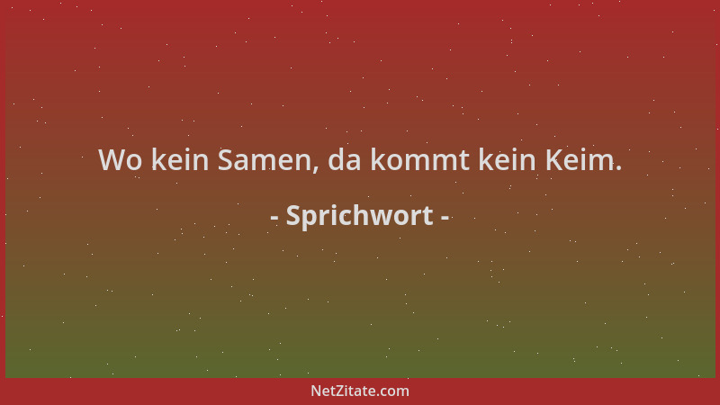 Sprichwort - Wo kein Samen, da kommt kein Keim....