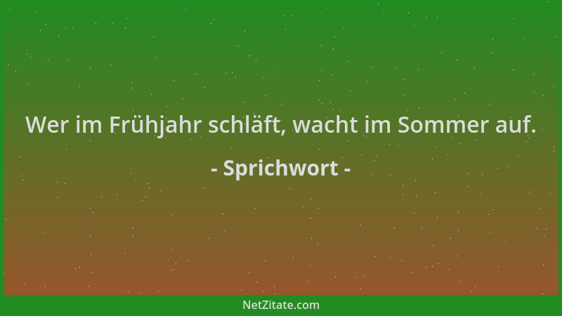 Sprichwort - Wer im Frühjahr schläft, wacht im Sommer auf....