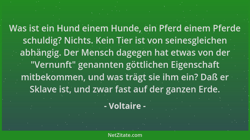 Voltaire - Was ist ein Hund einem Hunde, ein Pferd einem Pferde schuldig? Nichts. Kein Tier ist von seinesgleichen abhängig...