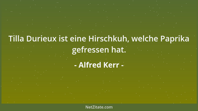 Alfred Kerr - Kritiker zu sein ist ein dummer Beruf, wenn man nichts ist, was darüber hinausgeht....