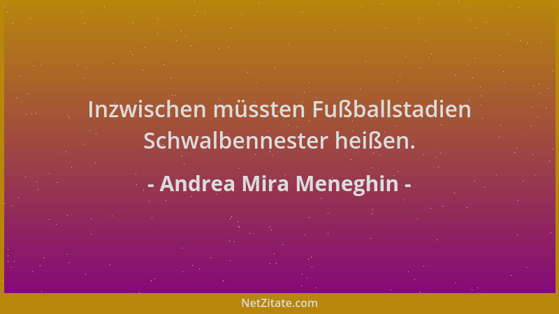 Andrea Mira Meneghin - Inzwischen müssten Fußballstadien Schwalbennester heißen....