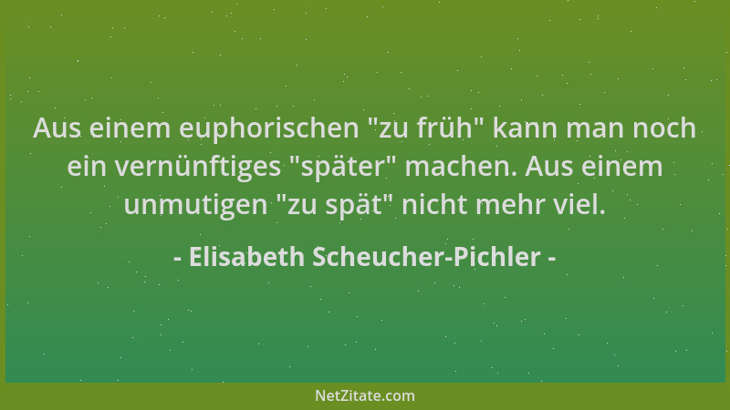 Elisabeth Scheucher-Pichler - Aus einem euphorischen "zu früh " kann man noch ein vernünftiges "später " machen. Aus einem un...