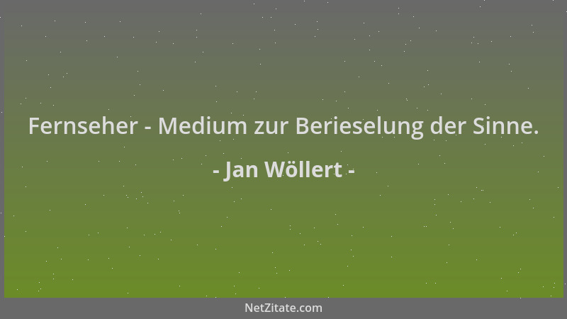 Jan Wöllert - Fernseher - Medium zur Berieselung der Sinne....