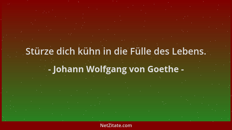 Johann Wolfgang von Goethe - Stürze dich kühn in die Fülle des Lebens....