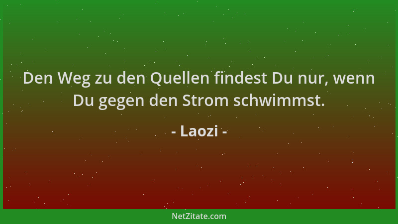 Laozi - Den Weg zu den Quellen findest Du nur, wenn Du gegen den Strom schwimmst....