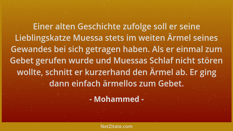 Mohammed - Einer alten Geschichte zufolge soll er seine Lieblingskatze Muessa stets im weiten Ärmel seines Gewandes bei sic...