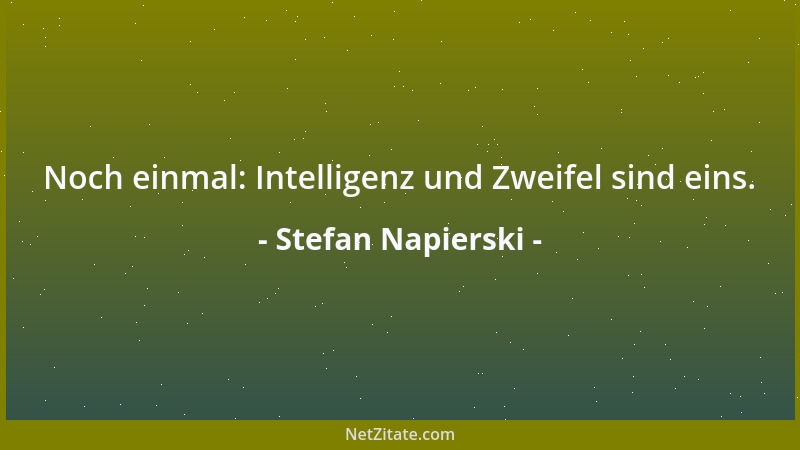 Stefan Napierski - Noch einmal: Intelligenz und Zweifel sind eins....