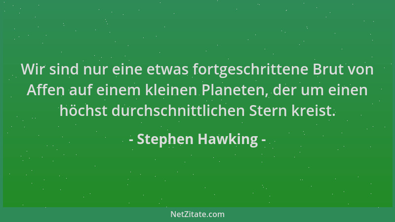 Stephen Hawking - Wir sind nur eine etwas fortgeschrittene Brut von Affen auf einem kleinen Planeten, der um einen höchst d...