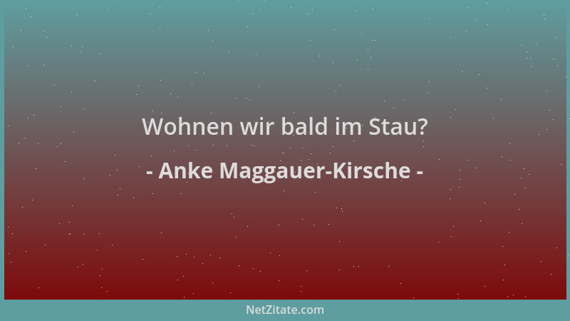 Anke Maggauer-Kirsche - Wohnen wir bald im Stau?...