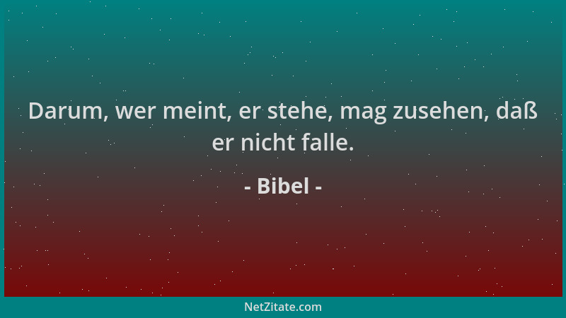 Bibel - Darum, wer meint, er stehe, mag zusehen, daß er nicht falle....