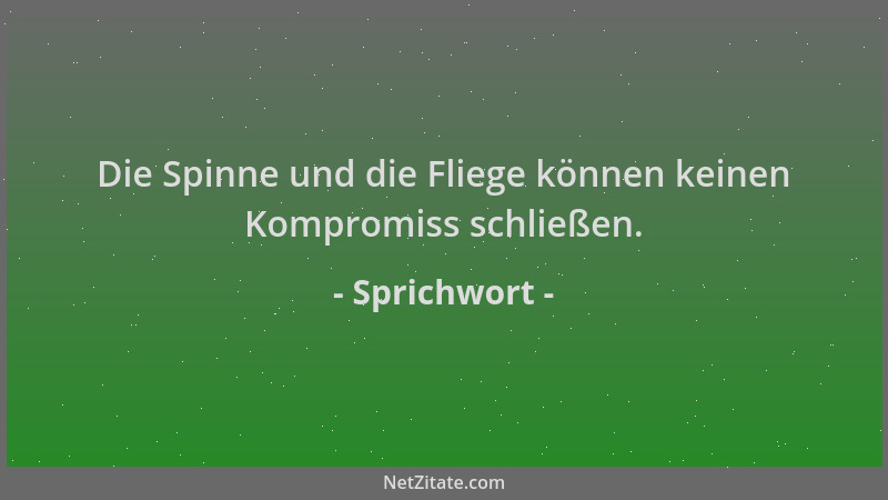 Sprichwort - Die Spinne und die Fliege können keinen Kompromiss schließen....