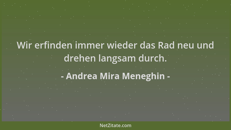 Andrea Mira Meneghin - Wir erfinden immer wieder das Rad neu und drehen langsam durch....