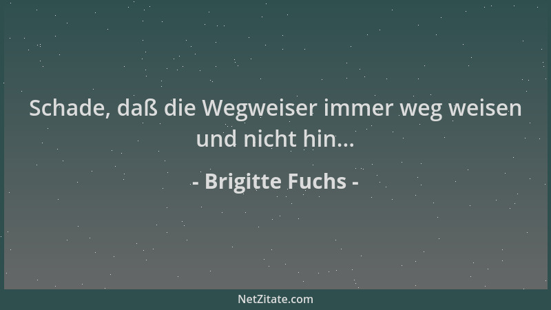 Brigitte Fuchs - Schade, daß die Wegweiser immer weg weisen und nicht hin......