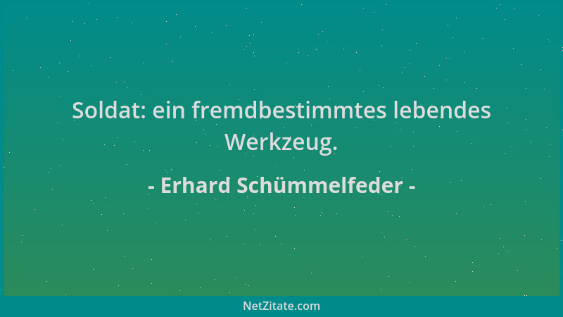 Erhard Schümmelfeder - Soldat: ein fremdbestimmtes lebendes Werkzeug....