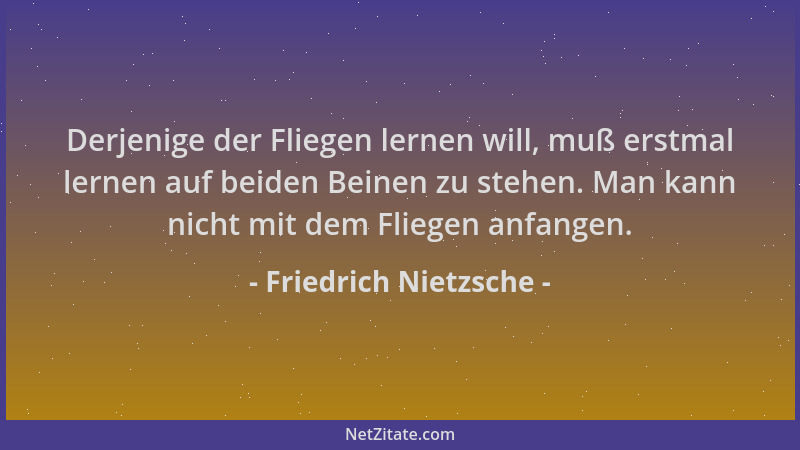 Friedrich Nietzsche - Derjenige der Fliegen lernen will, muß erstmal lernen auf beiden Beinen zu stehen. Man kann nicht mit...