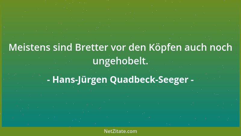 Hans-Jürgen Quadbeck-Seeger - Meistens sind Bretter vor den Köpfen auch noch ungehobelt....