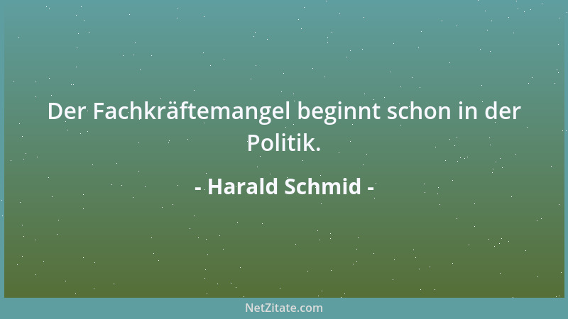 Harald Schmid - Der Fachkräftemangel beginnt schon in der Politik....
