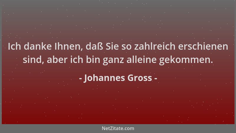 Johannes Gross - Ich danke Ihnen, daß Sie so zahlreich erschienen sind, aber ich bin ganz alleine gekommen....