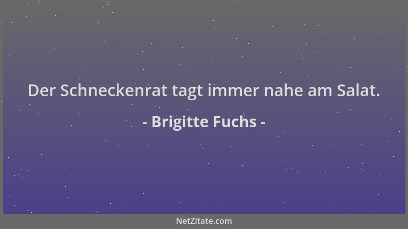 Brigitte Fuchs - Der Schneckenrat tagt immer nahe am Salat....