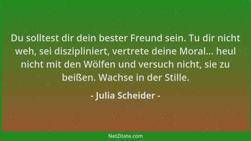 Julia Scheider - Du solltest dir dein bester Freund sein. Tu dir nicht weh, sei diszipliniert, vertrete deine Moral... heul...