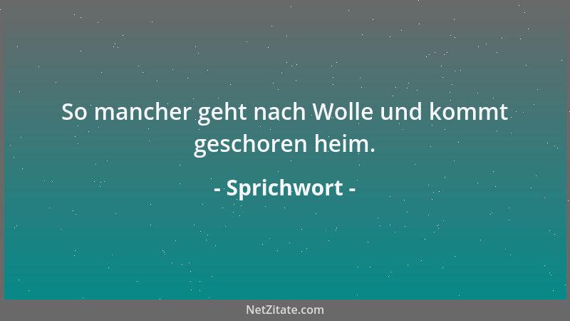 Sprichwort - So mancher geht nach Wolle und kommt geschoren heim....