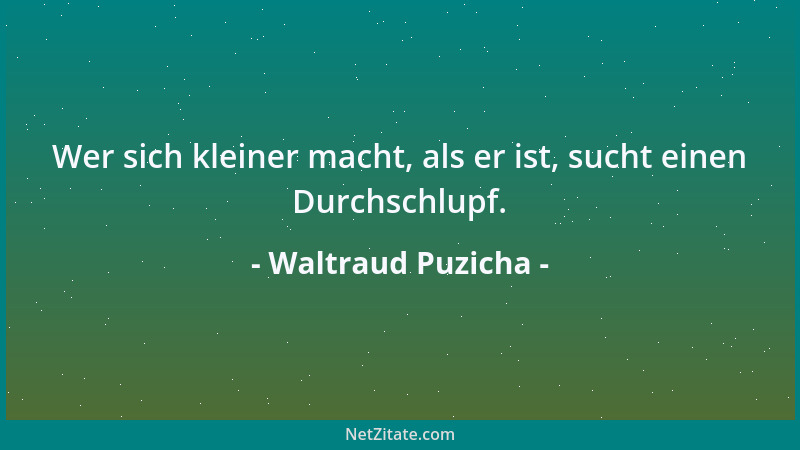 Waltraud Puzicha - Wer sich kleiner macht, als er ist, sucht einen Durchschlupf....