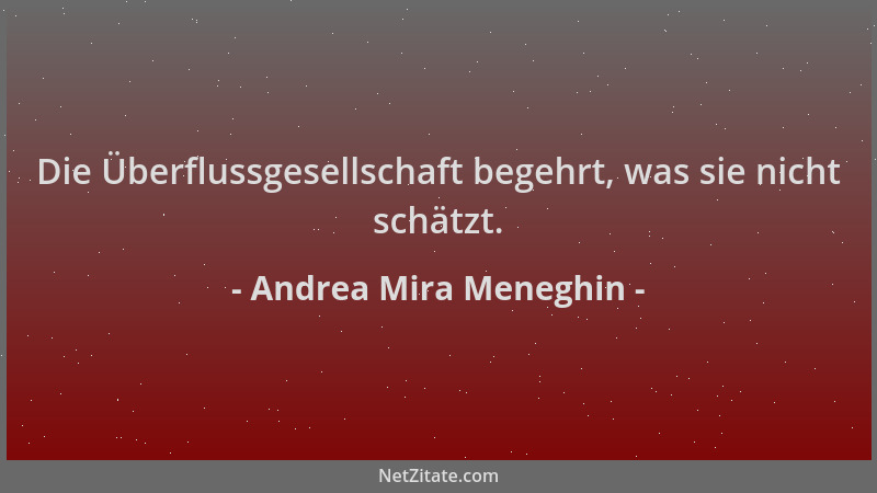 Andrea Mira Meneghin - Die Überflussgesellschaft begehrt, was sie nicht schätzt....