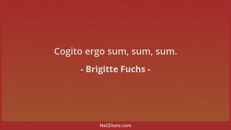 Brigitte Fuchs - Cogito ergo sum, sum, sum....