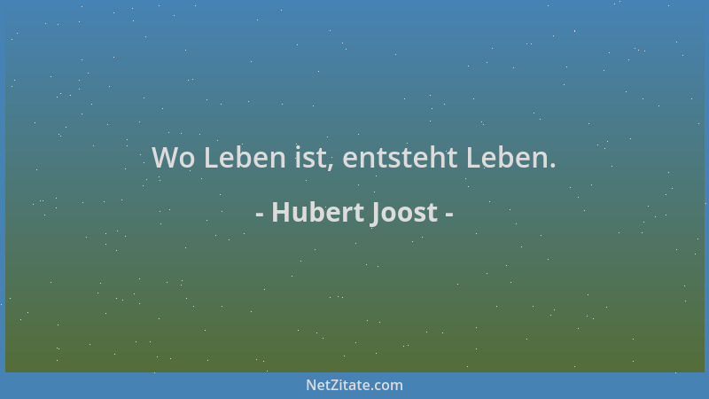 Hubert Joost - Wo Leben ist, entsteht Leben....