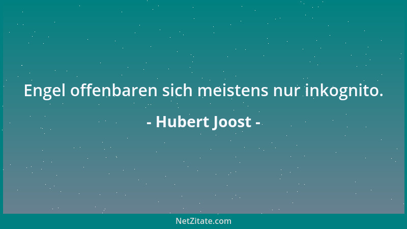 Hubert Joost - Engel offenbaren sich meistens nur inkognito....