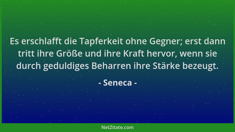 Seneca - Es erschlafft die Tapferkeit ohne Gegner; erst dann tritt ihre Größe und ihre Kraft hervor, wenn sie durch geduldi...