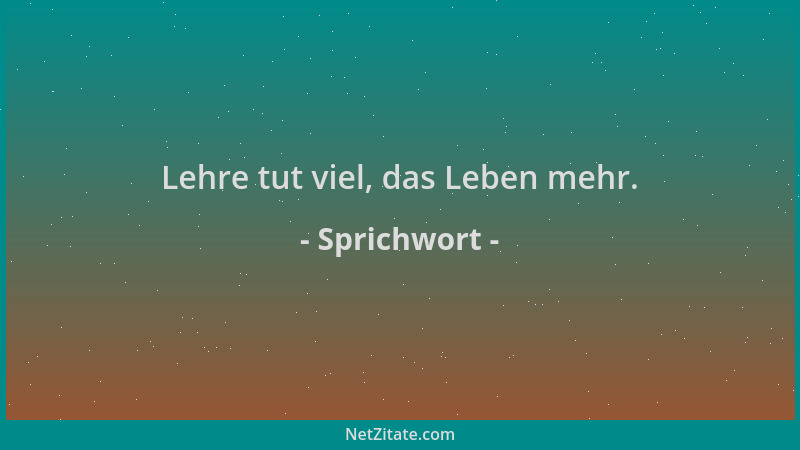 Sprichwort - Lehre tut viel, das Leben mehr....