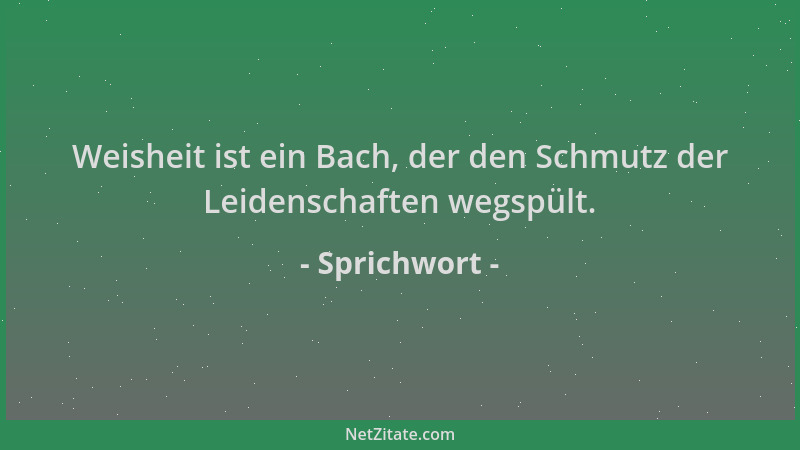 Sprichwort - Weisheit ist ein Bach, der den Schmutz der Leidenschaften wegspült....