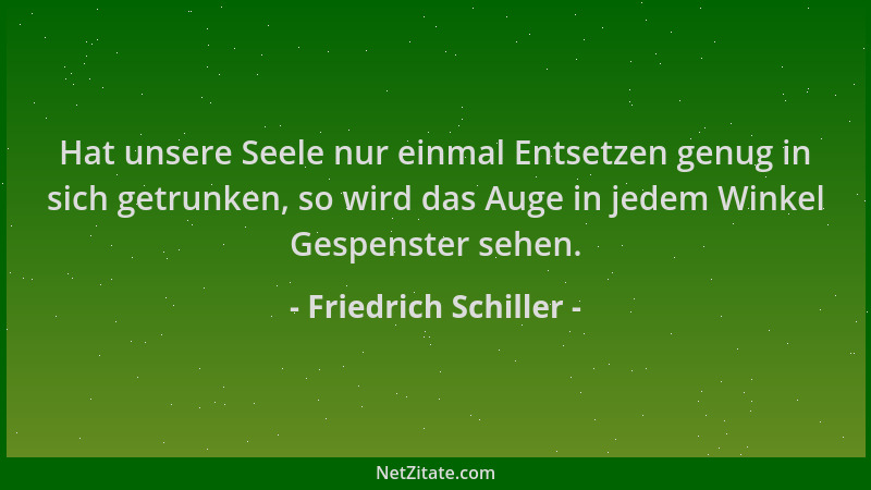 Friedrich Schiller - Hat unsere Seele nur einmal Entsetzen genug in sich getrunken, so wird das Auge in jedem Winkel Gespen...