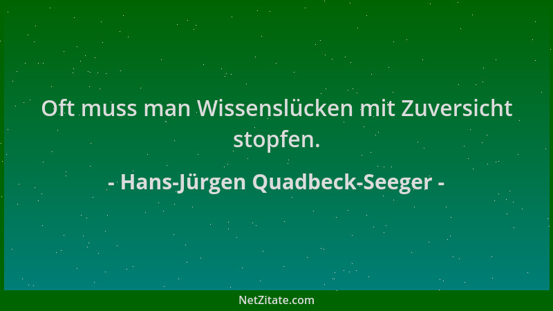Hans-Jürgen Quadbeck-Seeger - Oft muss man Wissenslücken mit Zuversicht stopfen....