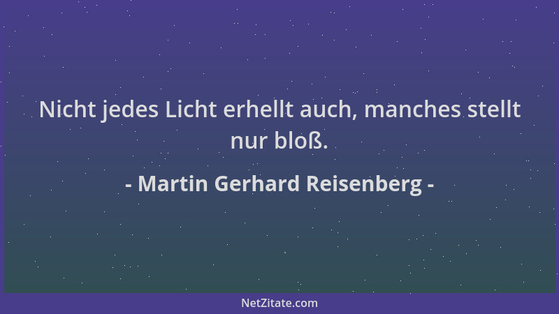 Martin Gerhard Reisenberg - Nicht jedes Licht erhellt auch, manches stellt nur bloß....