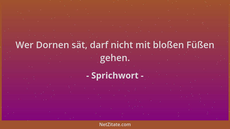 Sprichwort - Wer Dornen sät, darf nicht mit bloßen Füßen gehen....