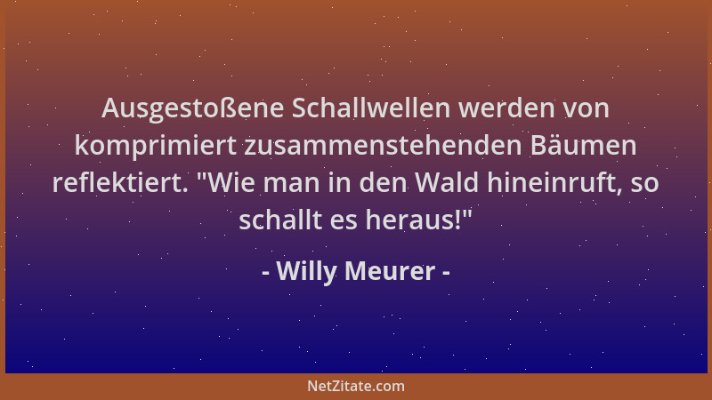Willy Meurer - Ausgestoßene Schallwellen werden von komprimiert zusammenstehenden Bäumen reflektiert.  "Wie man in den Wald...